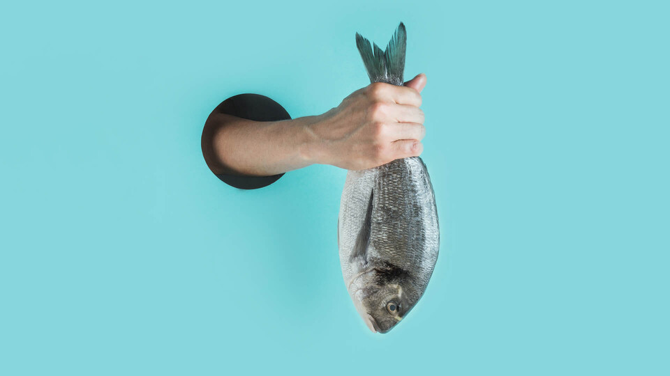 Phishing